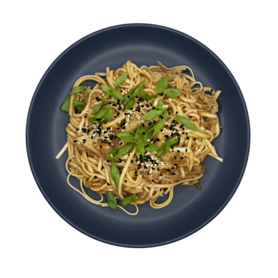 Honey Garlic Chicken Noodles