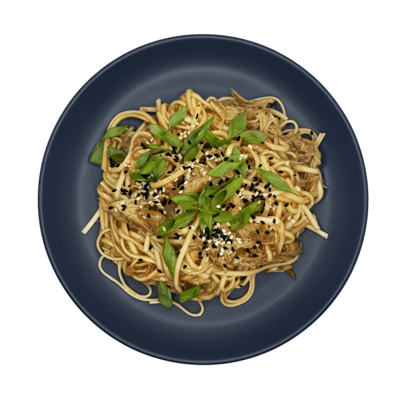 Honey Garlic Chicken Noodles