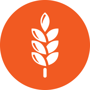 <img src =’https://af-machines.com/wp-content/uploads/2025/10/key-dairy.2e2b81da040e3922e72e.webp’ />